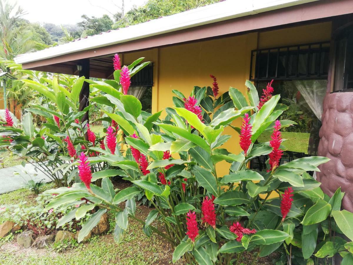 Hotel Catarata Río Celeste Bijagua Esterno foto